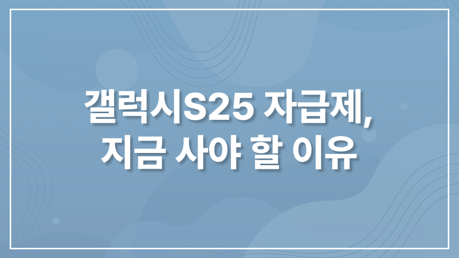 갤럭시S25 자급제