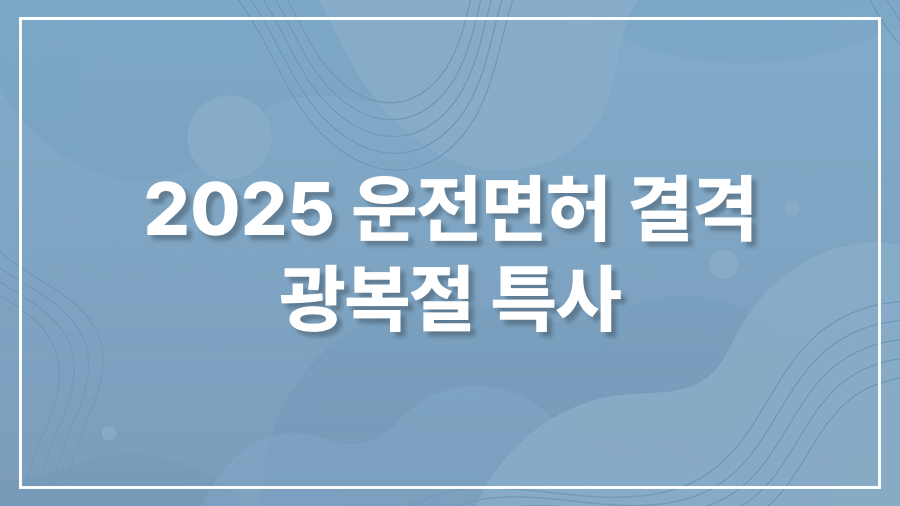 운전면허 결격 광복절 특사