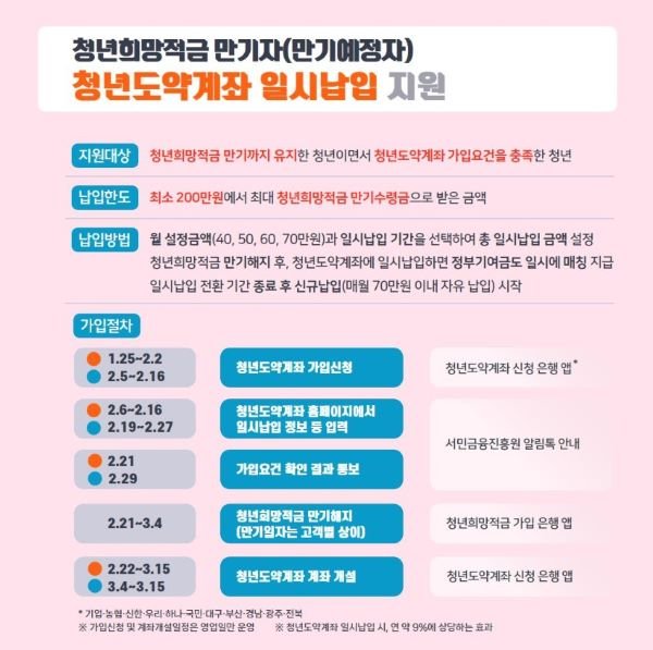 청년도약계좌 일시납입 지원