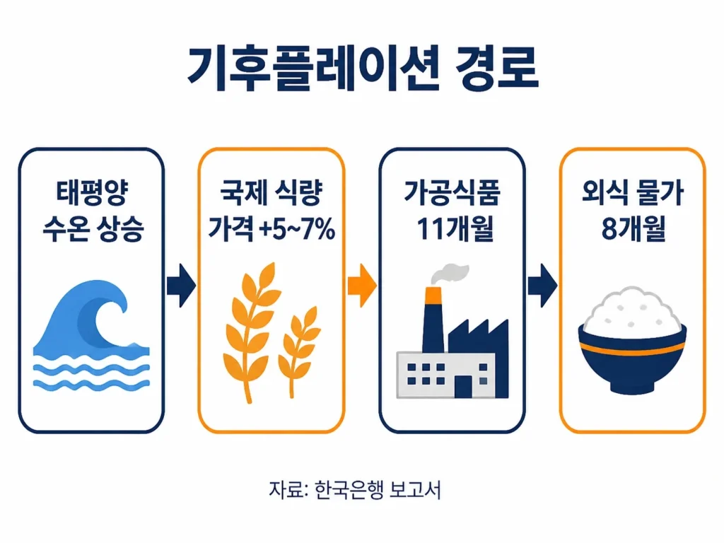 해수면 온도 상승이 식탁 가격까지 이어지는 경로 인포그래픽