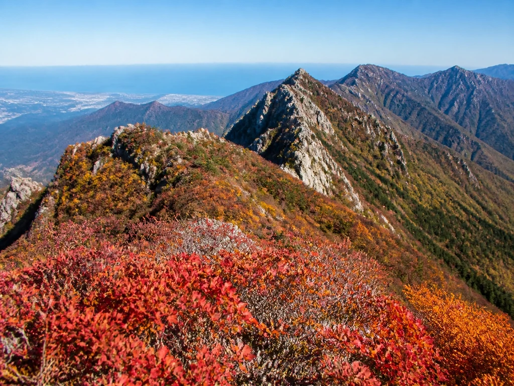 설악산 단풍시기 썸네일