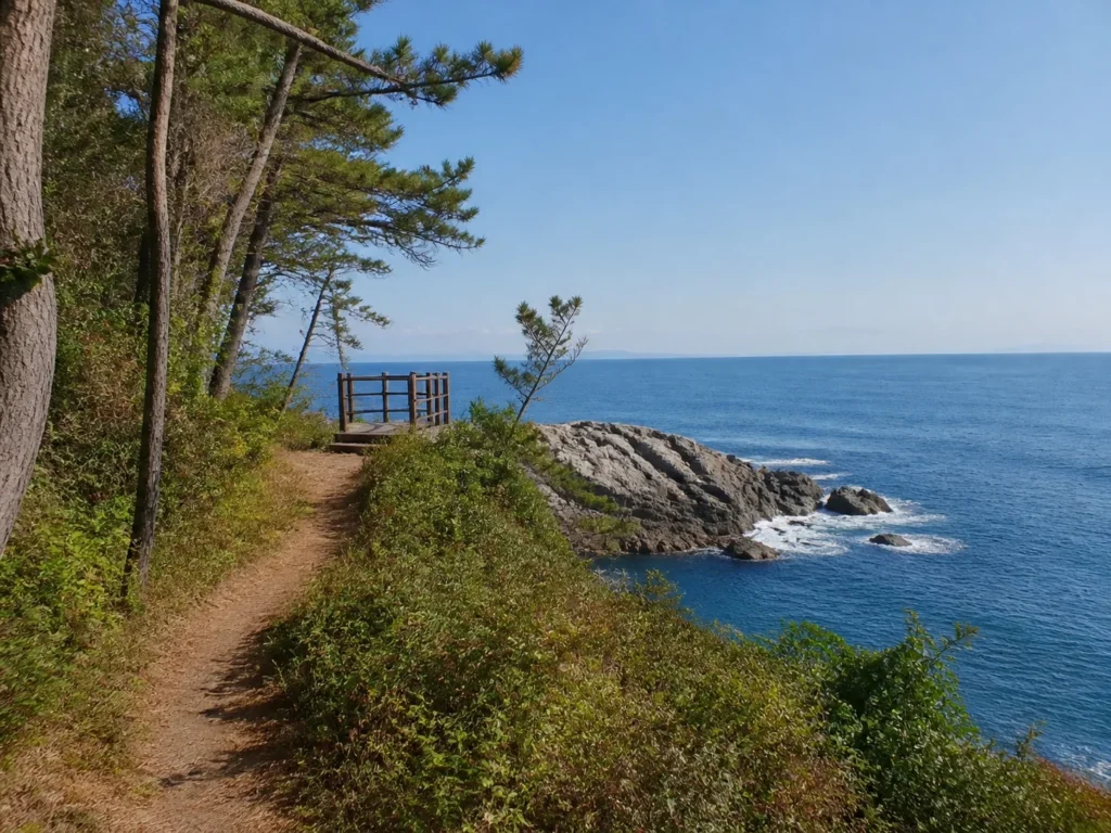 죽도 산책로 풍경